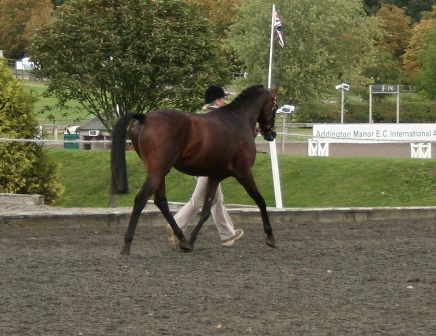 moriarty17