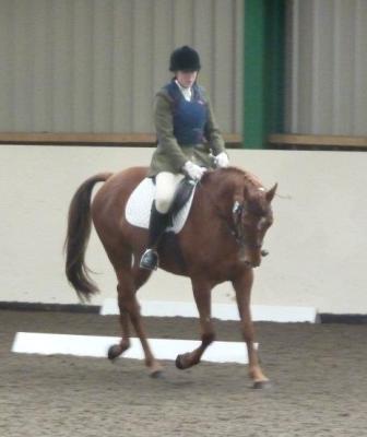 pipdressage2.